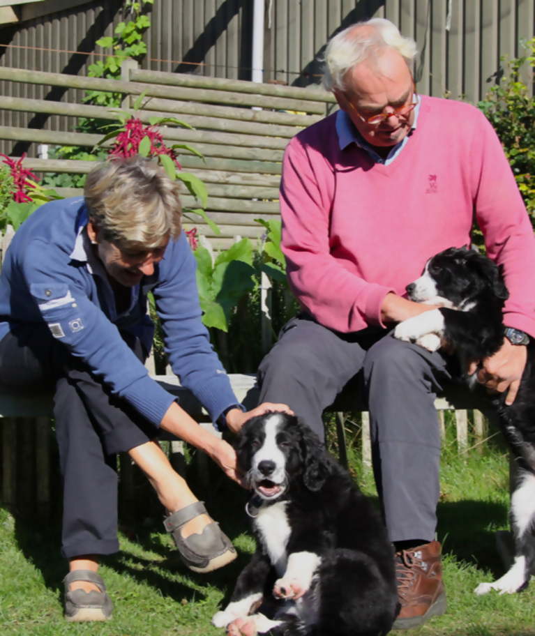 Coolminds case: Geoptimaliseerde huistests voor Mijn Huis Op Maat